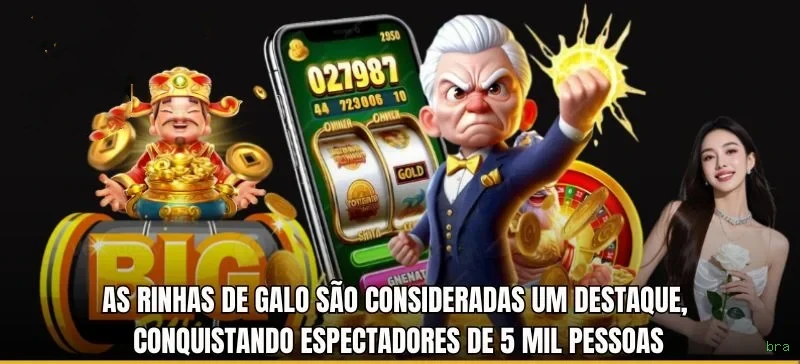 Promoções Sazonais bra